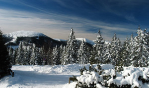 Вождение автомобиля зимой - cамый небезопасный период для автомобилиста!
