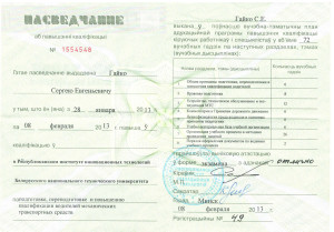Сертификат повышения квалификации Гайко Сергея Евгеньевича. Выдан 28 января 2013г.